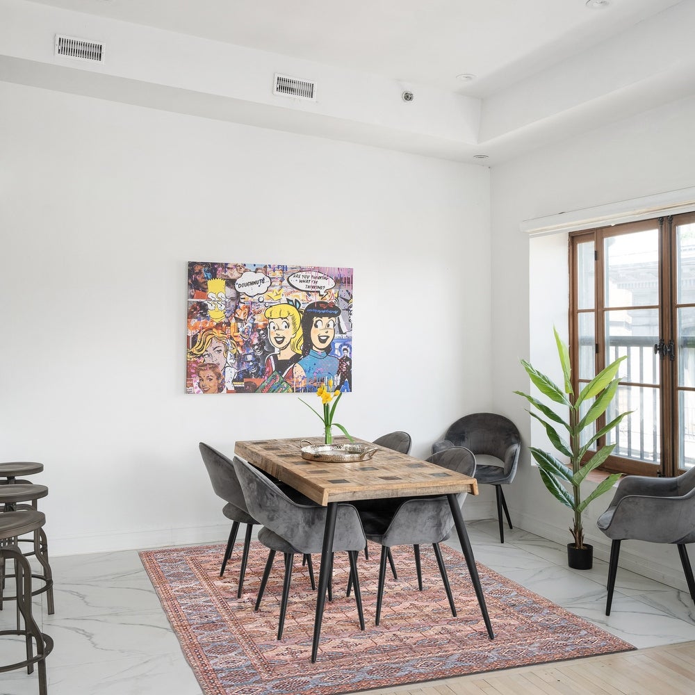 Machine Washable Bohemian & Eclectic Soft Rug