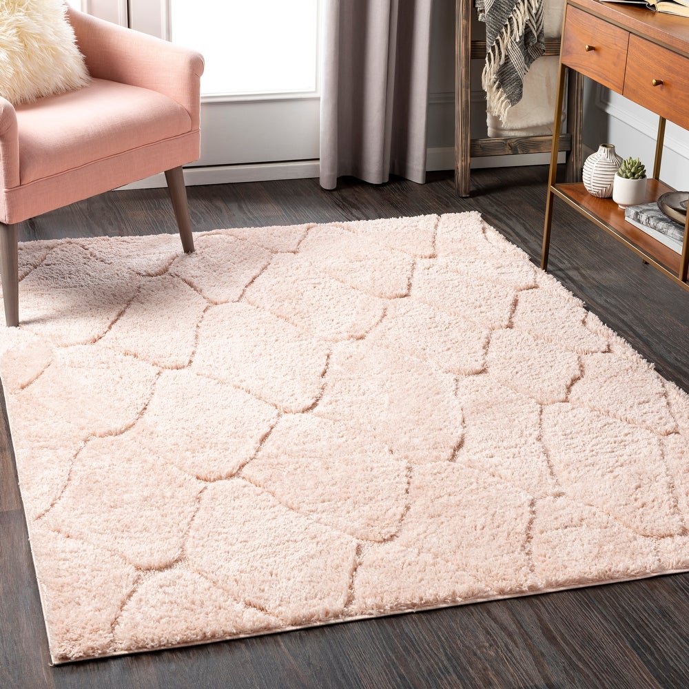 Ephrem Trellis Diamond Plush Soft Area Rug