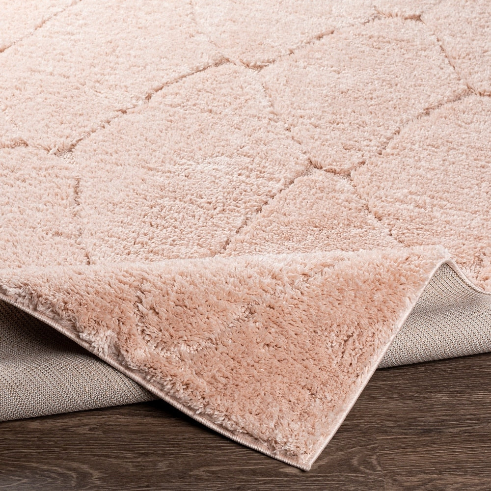 Ephrem Trellis Diamond Plush Soft Area Rug