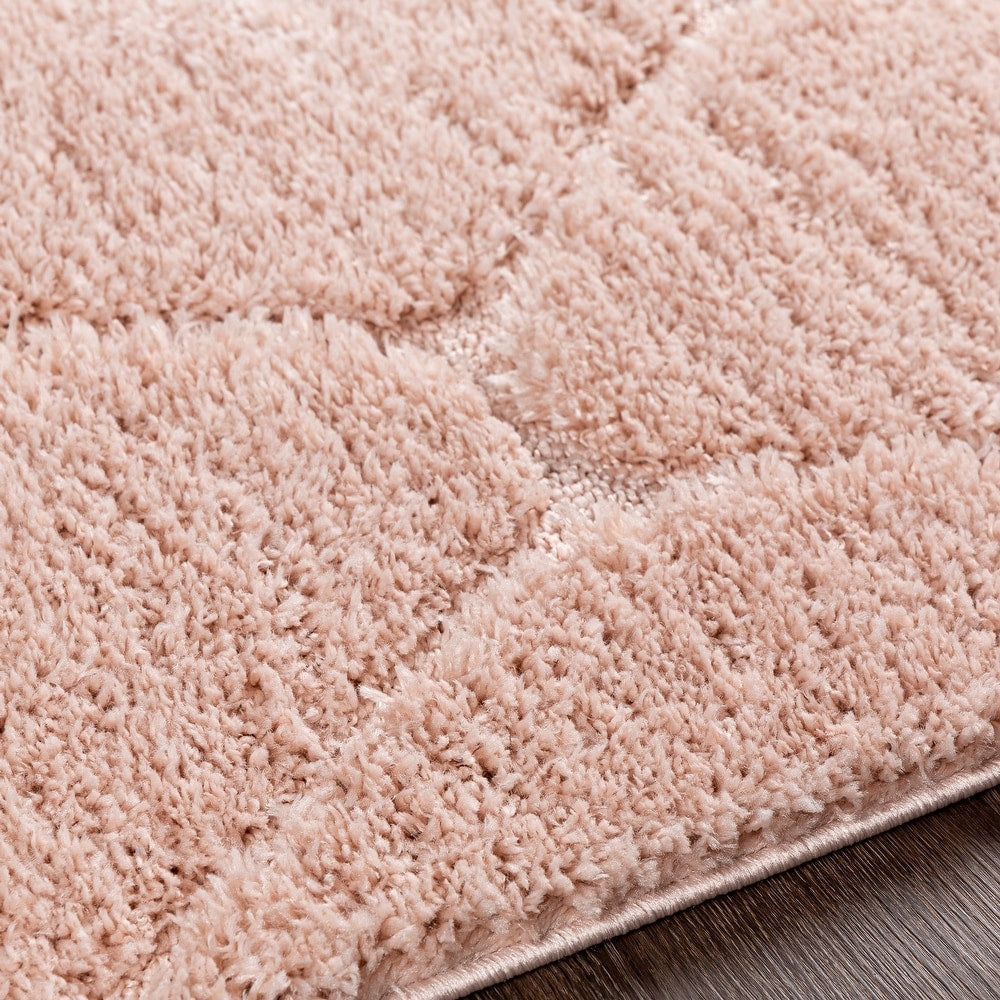 Ephrem Trellis Diamond Plush Soft Area Rug