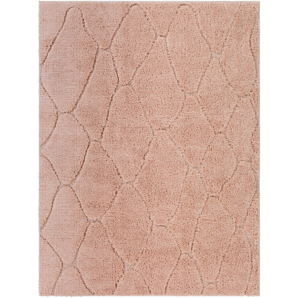 Ephrem Trellis Diamond Plush Soft Area Rug