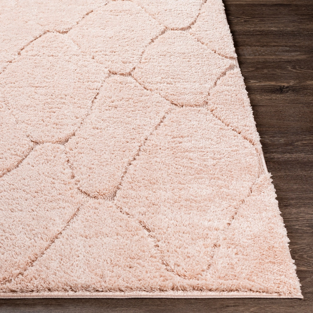Ephrem Trellis Diamond Plush Soft Area Rug