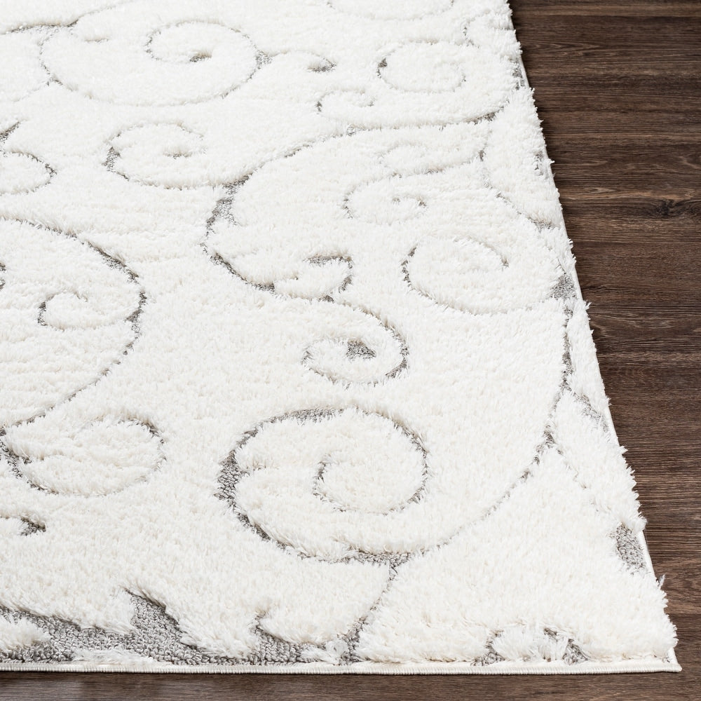 Transitional Scroll Plush Soft Area Rug