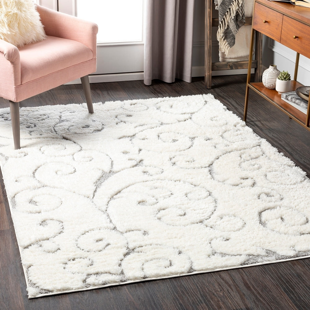 Transitional Scroll Plush Soft Area Rug