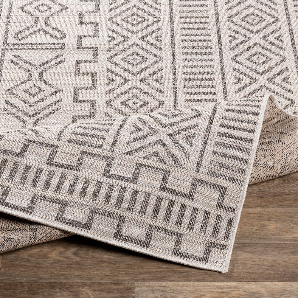 Holly Indoor / Outdoor Tribal Area Rug