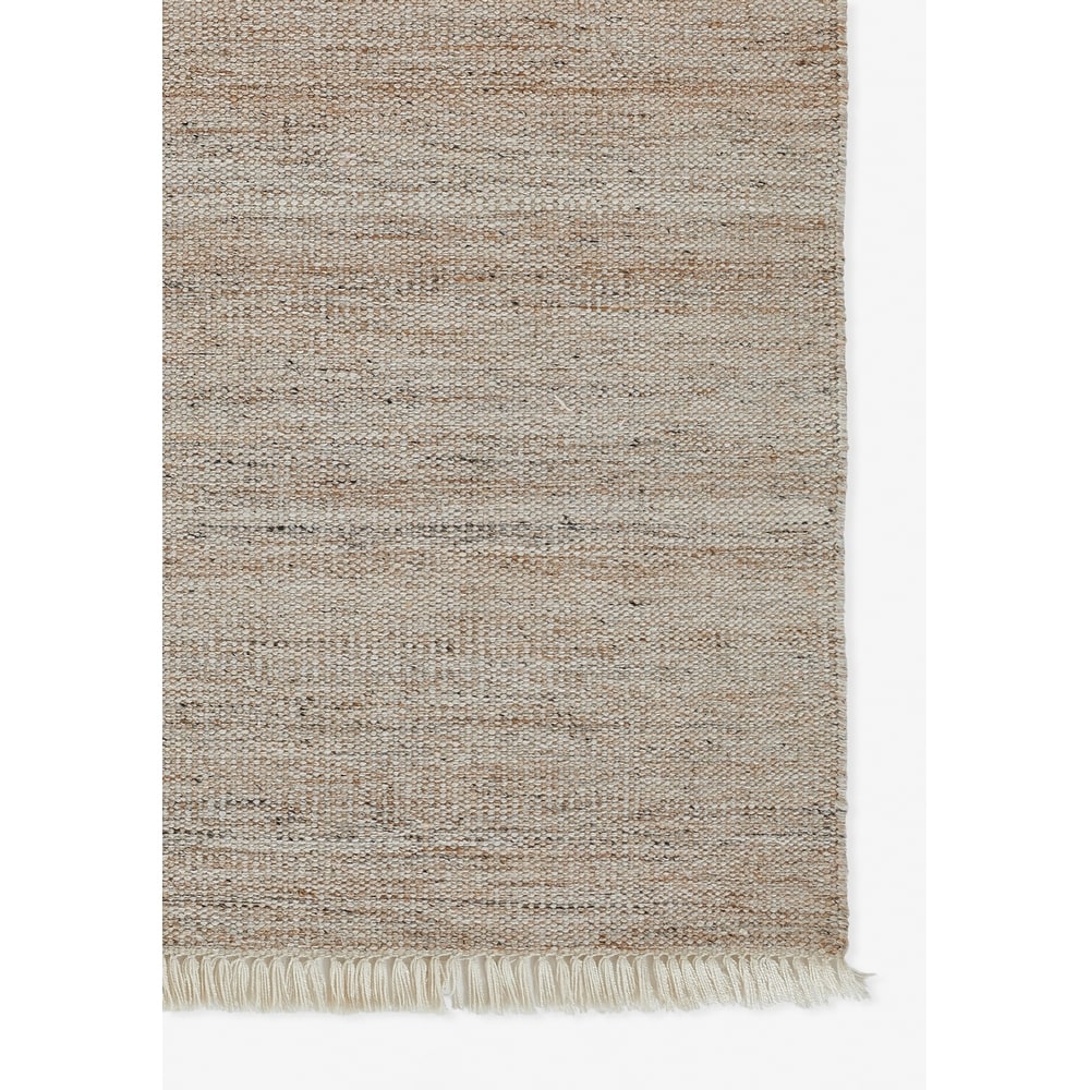 Hand Woven Cove Indoor Outdoor Area Rug