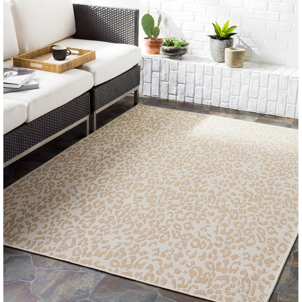 Robia Indoor/ Outdoor Leopard Print Area Rug