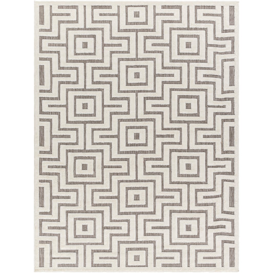 Mid-Century Indoor/ Outdoor Area Rug