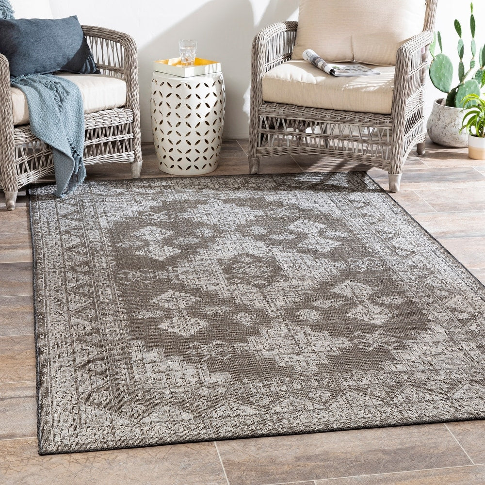 Indoor / Outdoor Updated Traditional Area Rug