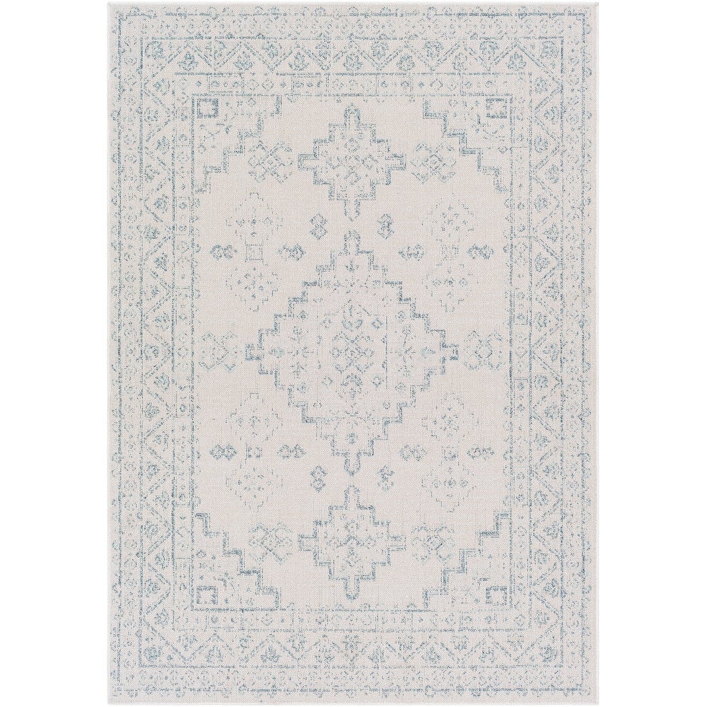 Indoor / Outdoor Updated Traditional Area Rug