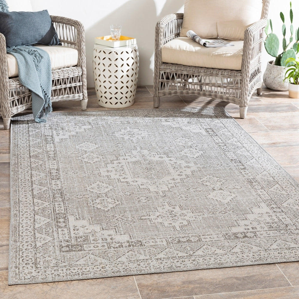 Indoor / Outdoor Updated Traditional Area Rug