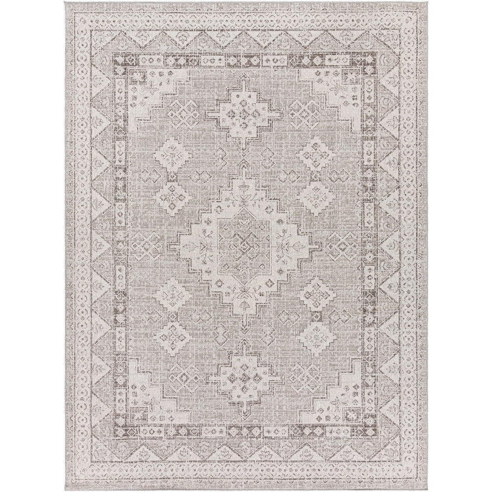 Indoor / Outdoor Updated Traditional Area Rug