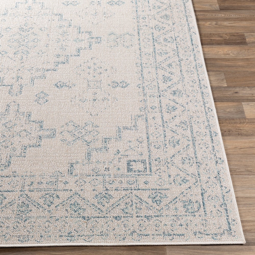 Indoor / Outdoor Updated Traditional Area Rug