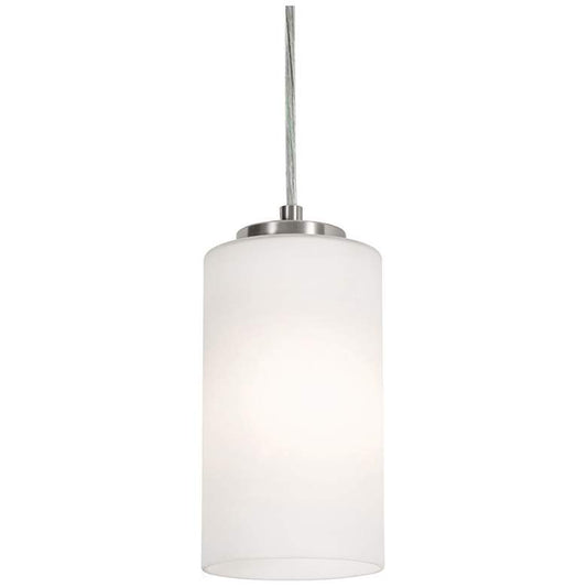 Leo 4" Pendant - Satin Nickel