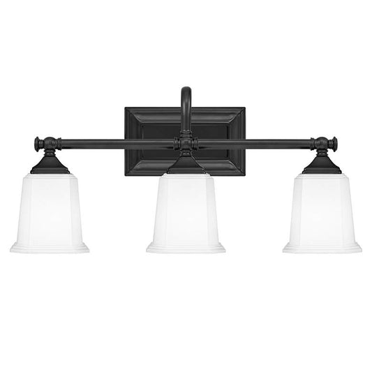 Quoizel Nicholas 22" Wide Earth Black 3-Light Bath Light