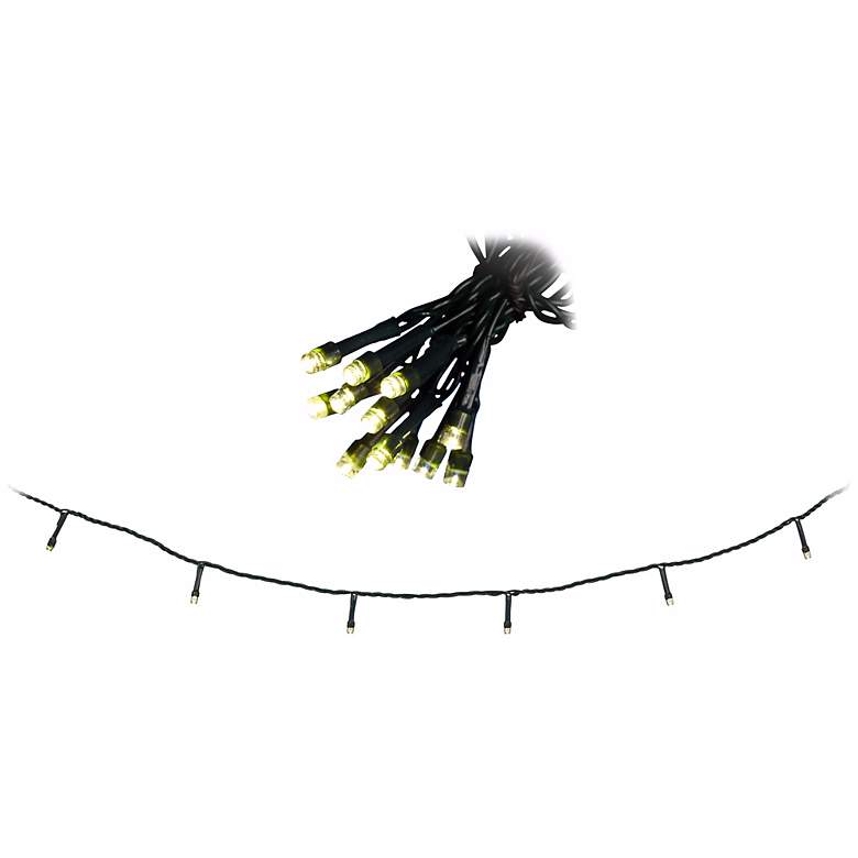 Warm White 66' Battery Operated Timer LED String Lights